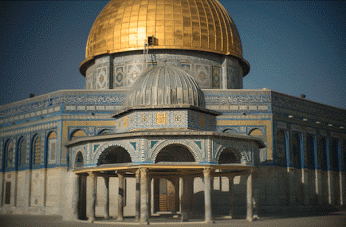 Giống như những bức ảnh động khiến người ta bị choáng ngợp của nhiếp ảnh gia người Ba Lan, Feliks Konczakowski những bức ảnh động của nhiếp ảnh gia người Pháp, Micael Reynaud nhận được phản ứng rất tốt của dư luận.