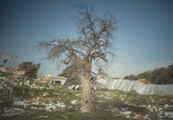 Cảm hứng của nhiếp ảnh gia này đến từ mọi thứ, mọi địa điểm, mọi thời khắc trong cuộc sống.