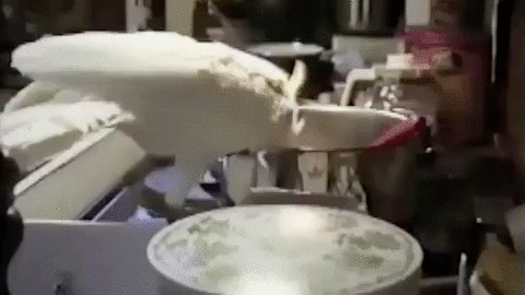 Con vẹt trắng ranh mãnh cùng chó husky tinh quái đã cấu kết với nhau để ăn vụng những sợi mì của chủ nhân một cách thành thạo. Tình bạn động vật siêu đáng yêu này khiến chủ nhân không nỡ la mắng.