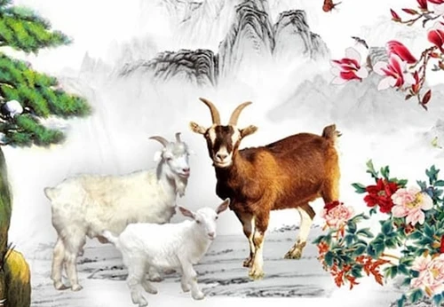 Tuần mới (9/1 - 15/1/2022): 4 con giáp nhận lộc rộn ràng, tiền tài ngập lối