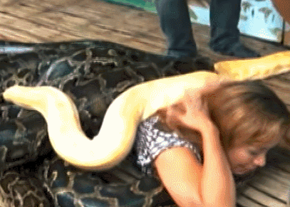 Đáng nói, các du khách sẽ không được massage bởi bàn tay của con người, thay vào đó, các kỹ thuật viên massage là những con trăn Miến Điện khổng lồ, những con trăn mà nhiều người nhìn thấy đã muốn bỏ chạy.