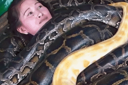 Những du khách đã trải qua dịch vụ này cho biết. Mới nhìn, họ thực sự rất sợ hãi, thế nhưng sau khi trải nghiệm, họ hiểu ra rằng, massage bằng trăn khổng lồ giúp họ đạt đến cực hạn thoải mái.