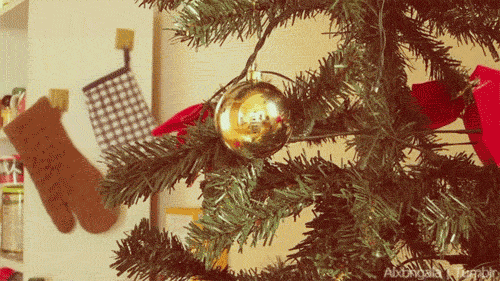 Không cam lòng nhìn cây thông Noel chiếm vị trí ưa thích trong nhà của mình, cô mèo ranh mãnh lén lút tháo đồ trang trí.