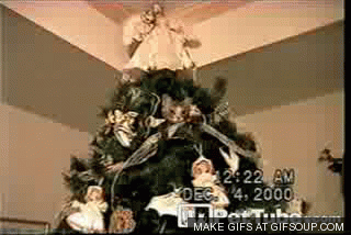 Ánh mắt thù hằn của chú mèo này cho thấy, chú ta sẽ quyết tâm khiến không khí Noel biến mất trong ngôi nhà.