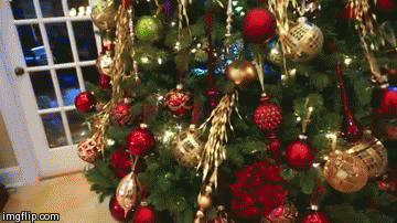 Chú mèo này chỉ chờ đợi chủ nhân không để ý, leo lên cây thông Noel mai phục, thực hiện ý đồ phá hoại từ trong ra ngoài.