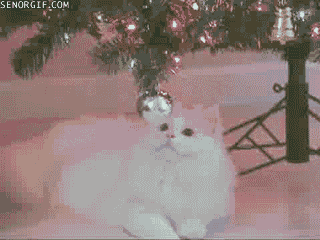 Cáu tiết vì quả cầu mạ vàng cứ lắc lư trêu ngươi, chú mèo ghét lây sang cả cây thông Noel và không khí Giáng sinh.