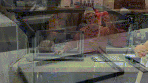 Ảnh động hiện tượng khoa học thú vị khi bong bóng xà phòng gặp khí sulfur hexafluoride, chúng sẽ trôi nổi trong không trung và không thể rơi chạm đáy.