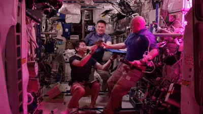 Bức ảnh ghi lại khoảnh khắc ba phi hành gia là Scott Kelly, Kjell Lindgren và Kimiya Yui ăn những cây rau diếp đầu tiên được trồng và thu hoạch tại trạm không gian vào ngày 10/8/2015.