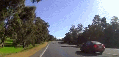 Thot tim canh kangaroo thinh linh xuat hien nhu phim hanh dong