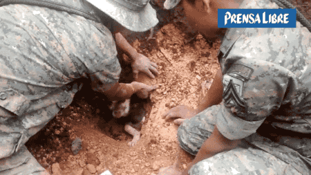 Màn giải cứu chú chó bị chôn sống này đã khiến nhiều người rơi nước mắt. Chú chó may mắn khi đã gặp được những người yêu thương động vật thực sự. (Theo Emgn)