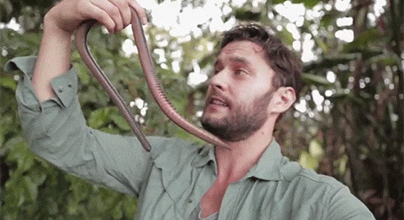 Trong ảnh là một con giun đất khổng lồ dài tới 1,2m được nhà sinh vật học Phil Torres phát hiện ở khu vực chân núi lửa Sumaco ở Ecuador. (Nguồn Viralnova)