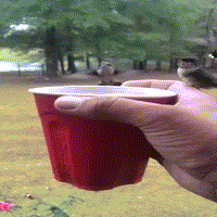 Ảnh động động vật có cảnh chim ruồi gọi bạn cùng uống cà phê.