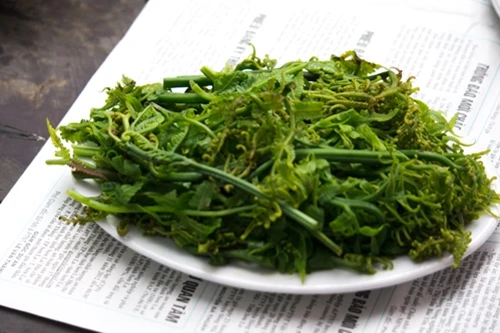 Loại rau dại đặc sản cực ngon hóa ra lại gây ung thư