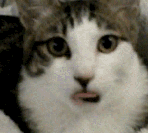 Cũng theo nghiên cứu, mặc dù mèo bị phê cỏ bạc hà nhưng do cỏ bạc hà là một loại thảo dược thiên nhiên không có độc nên không gây nghiện cho loài mèo.