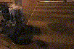 Cách kẻ vạch qua đường bằng máy móc hiện đại của nước người ta.