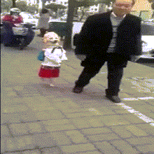 Khi loài chó đi học.