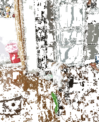 Ngay khi phát hiện ra sự xuất hiện của dưa chuột, con mèo này đã giật nảy mình.