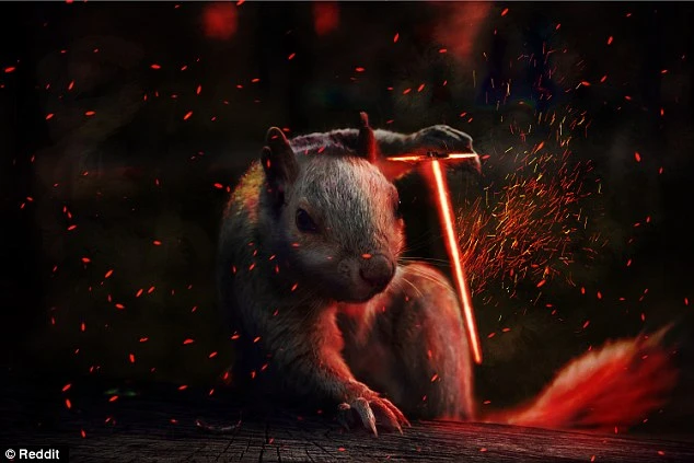 Đây chính là chú sóc "bá đạo" nhất quả đất!