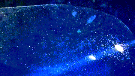 Không rõ bong bóng khổng lồ kia là cái gì nên những người thợ lặn đã quay lại video và đăng tải trên mạng với hy vọng sẽ nhận được lời giải đáp từ những người có chuyên môn, xác định bong bóng bí ẩn này là gì.