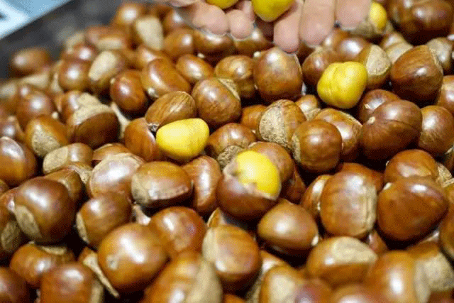 Mùa đông là mùa của hạt dẻ, có thể nói đây chính là món ngon "phiên bản giới hạn của mùa đông". Thịt hạt dẻ vàng ruộm, vị bùi, ngọt, mềm và thanh, ăn một lần là nhớ mãi. Thế nhưng, dù hạt dẻ có ngon thế nào, khuyên bạn nên ăn với lượng vừa phải, nếu không dễ ảnh hưởng đến sức khoẻ, thậm chí gây xuất huyết dạ dày. (Ảnh minh họa)