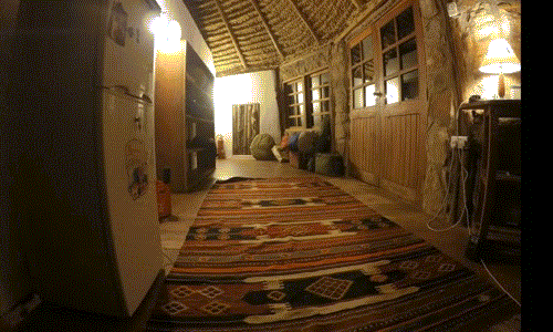 Tại nhà nghỉ Borana thuộc khu bảo tồn động vật hoang dã Kenya có một con nhím táo tợn hay còn được gọi là siêu trộm nhím. Con nhím này được đánh giá là rất ranh ma, nhanh nhẹn và cực kỳ lỳ lợm. (Nguồn: Hunter Marrian - Borana Lodge Manager)