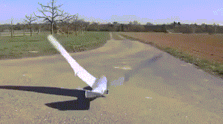 Một con chim máy được ra đời dựa trên nguyên lý vỗ cánh của chim thật.