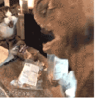 Gào thét với khủng long nhựa ra oai nhưng khi con khủng long đến gần, mèo ta vừa đánh vừa lùi. (Nguồn Viral Nova)