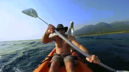 Chim bồ nông không chịu được sự phá bĩnh của người đàn ông xua đuổi hết các con cá của nó đã trèo lên đầu anh ta trả thù.