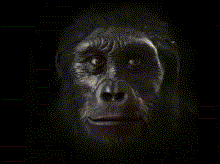 Hình ảnh động về sự thay đổi và tiến hóa ấn tượng trên khuôn mặt con người.