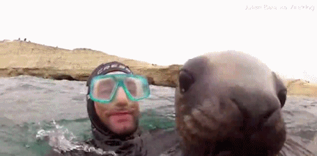 Het hon su tu bien lao toi hon toi tap tho lan-Hinh-2