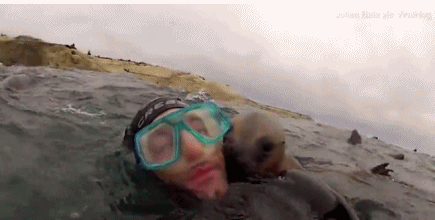 Het hon su tu bien lao toi hon toi tap tho lan-Hinh-4