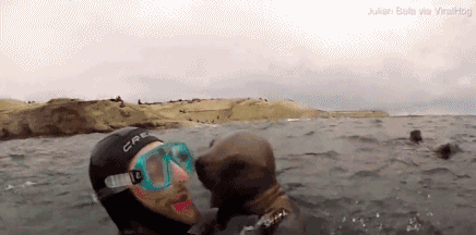 Het hon su tu bien lao toi hon toi tap tho lan-Hinh-3