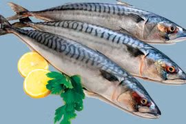 Lợi ích của cá saba đối với sức khỏe