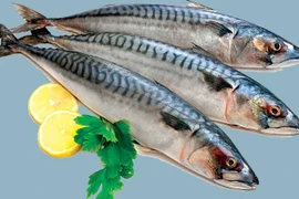 Lợi ích của cá saba đối với sức khỏe