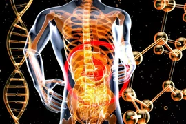 Thực phẩm chứa chất nhũ hóa có thể gây hại đường ruột