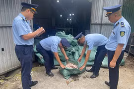 Quảng Ninh phát hiện gần 8 tấn chân gà không rõ nguồn gốc.