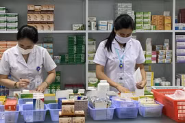 Thanh toán BHYT đối với thuốc y học cổ truyền, dược liệu 