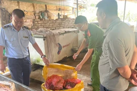 Sơn La phát hiện, thu giữ 150 kg nội tạng động vật bốc mùi