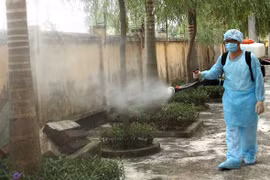 Hà Nội ghi nhận 336 trường hợp mắc sốt xuất huyết trong tuần qua