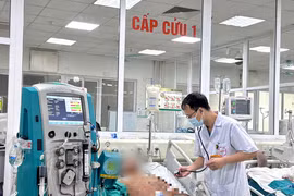 Bệnh liên cầu lợn dễ lây qua thực phẩm không đảm bảo, gây nguy hiểm tính mạng