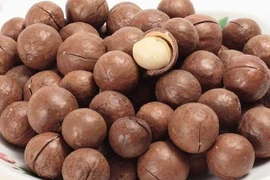 'Kho báu' dinh dưỡng ẩn sau lớp vỏ cứng của macca