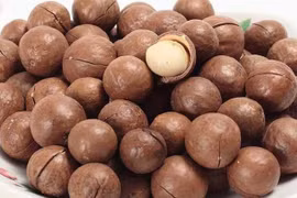 'Kho báu' dinh dưỡng ẩn sau lớp vỏ cứng của macca