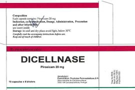 Thu hồi thuốc Viên nang cứng Dicellnase của Công ty Nam Đồng