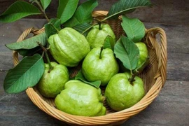 10 loại quả giá rẻ giàu vitamin C 