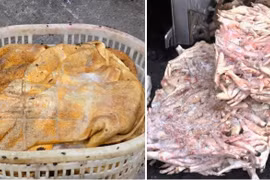 Tiêu hủy hơn 25 tấn thực phẩm đông lạnh bốc mùi hôi thối