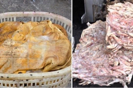 Tiêu hủy hơn 25 tấn thực phẩm đông lạnh bốc mùi hôi thối