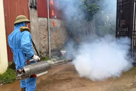Hà Nội chung tay chủ động phòng chống dịch bệnh sốt xuất huyết mùa cao điểm