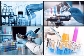 Xử phạt Công ty Chứng nhận và Kiểm nghiệm FAO 75 triệu đồng