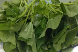 Khám phá công dụng của rau khoai lang đối với sức khỏe toàn diện