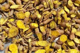 Hà Nội rà soát, thu hồi triệt để lô dược liệu Hoàng Đằng